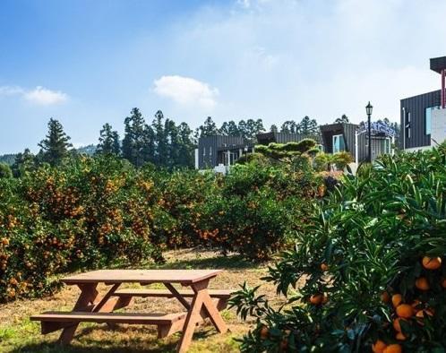 Banhakeura Pension Jeju Exterior photo